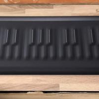 Roli Seaboard Rise 25 con flipcase