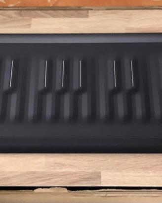 Roli Seaboard Rise 25 con flipcase