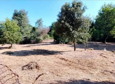 Terreno a cave confine valmontone