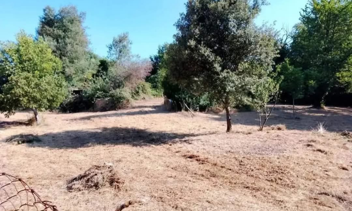 Terreno a cave confine valmontone