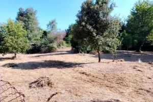 Terreno a cave confine valmontone