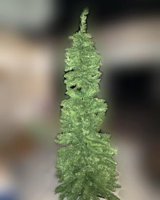 Albero di Natale SLIM