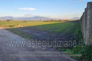 Terreno Agricolo Acerra [A4264007]