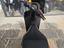Immagine 13