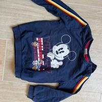 Felpa sgarzata Disney