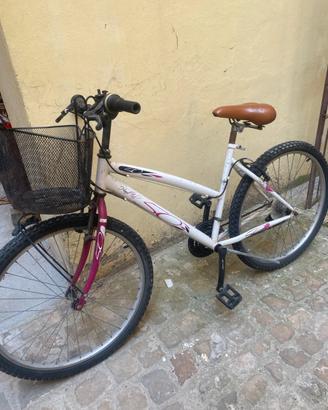 Bicicletta mountain bike a Pesaro