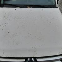 MITSUBISHI PAJERO 2010 - COFANO ANTERIORE