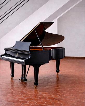 Pianoforte a coda Steinway & Sons M170