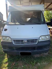 CAMPER McLOUIS GLEN 264 SEMINTEGRALE – SUPER