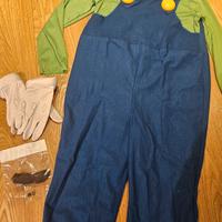 Costume di carnevale Luigi (Super Mario)
