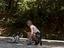 Immagine 5