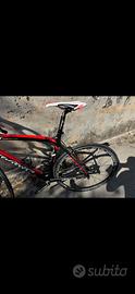 Wilier Gts granturismo