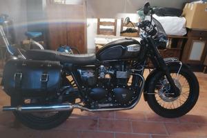 Triumph  Bonneville