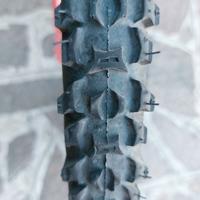 Mtb donna