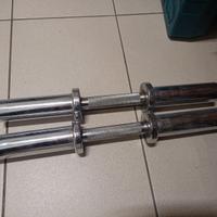 coppia manubri caricabili 