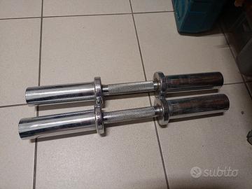 coppia manubri caricabili 