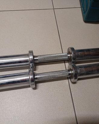 coppia manubri caricabili 