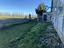 Immagine 26