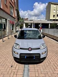 Panda Hybrid 1.0 cv 70