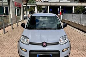 Panda Hybrid 1.0 cv 70
