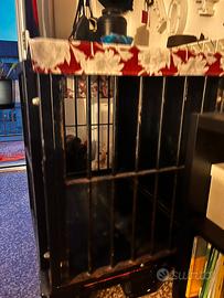Kennel su misura in ferro battuto