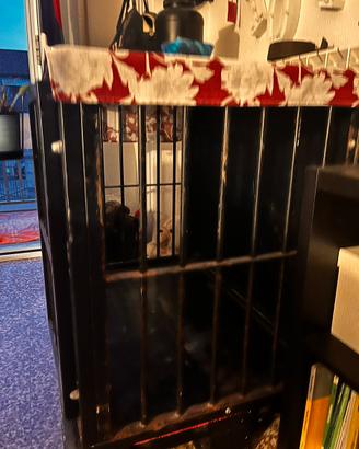Kennel su misura in ferro battuto