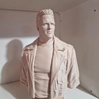 Terminator T-800 (Arnold Schwarzenegger) 