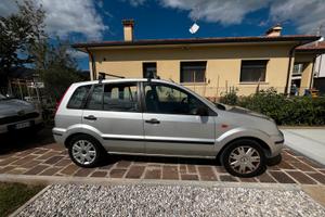 Forse Fusion Zetec