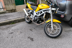 Suzuki SV 650 2001