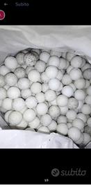 bianche foosball balls 
