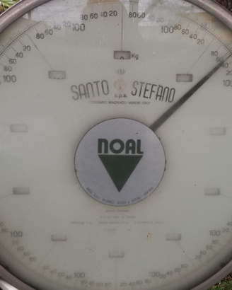 Bilancia bascula 60 Q