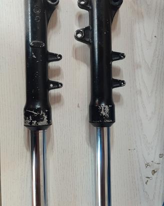 forcelle booster 50