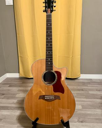 Gallinaro Grand Autitorium (Taylor tribute)