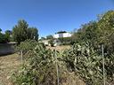 ter-agricolo-a-lecce