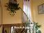 Immagine 15