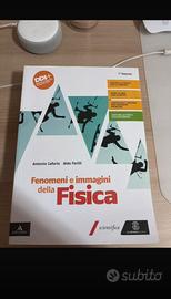 fenomeni e immagini della fisica 