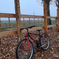 Bici Esperia