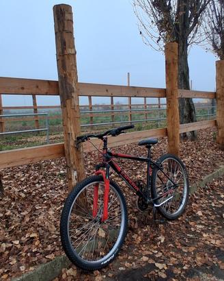Bici Esperia