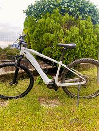 Emtb E-bike