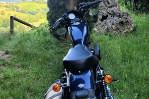 Harley davidson 883 iron