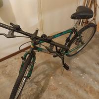 bici per adulto