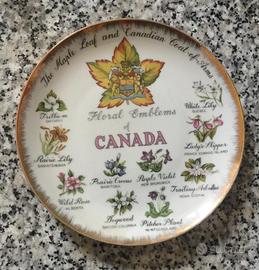 Canadà: Piatto ricordo da appendere alla parete