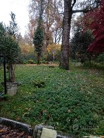 Villa bifamiliare con giardino