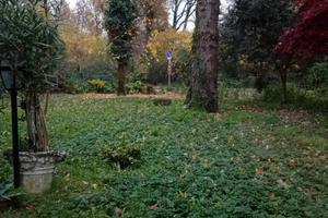 Villa bifamiliare con giardino