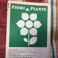 FIORI E PIANTE SCHEDE
