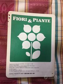 FIORI E PIANTE SCHEDE