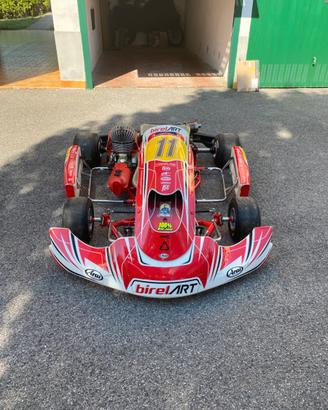 Easykart 125 Birel Art 2018