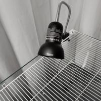 DADYPET Illuminazione, Lampada

Alogena 25w