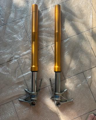 Forcelle ohlins