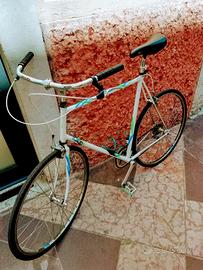 bici corsa adattabile viaggio